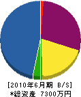 竹川建設 貸借対照表 2010年6月期
