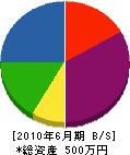 龍ケ崎塗装 貸借対照表 2010年6月期