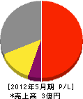上田新工業 損益計算書 2012年5月期