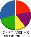 東陽住建 貸借対照表 2012年10月期