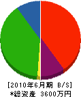竹部工業 貸借対照表 2010年6月期