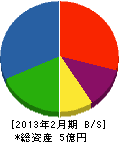 坪倉興業 貸借対照表 2013年2月期