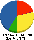 藤元建設 貸借対照表 2011年12月期