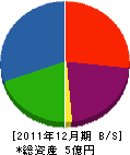 山照電工 貸借対照表 2011年12月期