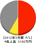 飯田建設 損益計算書 2012年3月期