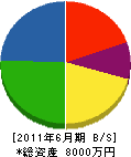 中澤電工 貸借対照表 2011年6月期