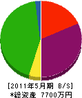 清和電気 貸借対照表 2011年5月期