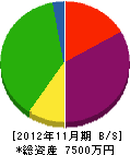 宝晋工業 貸借対照表 2012年11月期