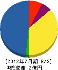 松本組 貸借対照表 2012年7月期