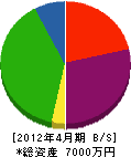 堀井工務店 貸借対照表 2012年4月期