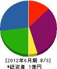 福井デリカ 貸借対照表 2012年6月期