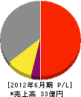 日本パーツセンター 損益計算書 2012年6月期