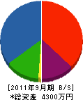 泉電機工事 貸借対照表 2011年9月期