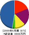 神崎興業 貸借対照表 2009年6月期