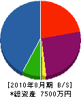 松本建装 貸借対照表 2010年8月期