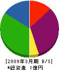 小笠原工務店 貸借対照表 2009年3月期
