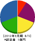 辻電機産業 貸借対照表 2012年9月期