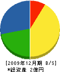 札幌標板製作所 貸借対照表 2009年12月期