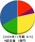 藤﨑工務店 貸借対照表 2009年11月期