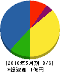 羽島電機製作所 貸借対照表 2010年5月期
