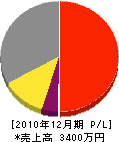 川武タタミ店 損益計算書 2010年12月期
