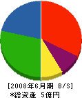 丸昭工務店 貸借対照表 2008年6月期