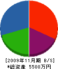 笹島管工設備 貸借対照表 2009年11月期