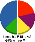 武蔵建設 貸借対照表 2009年9月期