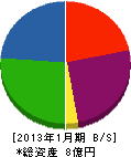 日本ワコン 貸借対照表 2013年1月期