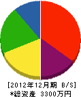 加藤塗装 貸借対照表 2012年12月期