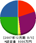 大江組 貸借対照表 2007年12月期