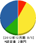 中沢建設 貸借対照表 2012年12月期