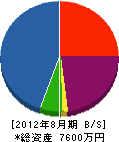 松本建装 貸借対照表 2012年8月期