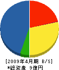 田島緑地前川コルポラッション 貸借対照表 2009年4月期