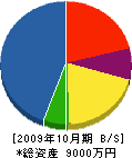 田中組建設 貸借対照表 2009年10月期