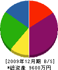 三ヶ日丸東 貸借対照表 2009年12月期