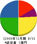斉藤組興業 貸借対照表 2008年12月期