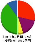 大塚建設 貸借対照表 2011年3月期