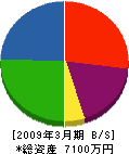 田北電気工業所 貸借対照表 2009年3月期