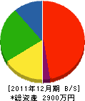 中央電気工業所 貸借対照表 2011年12月期