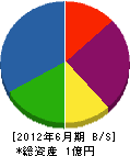 矢野組 貸借対照表 2012年6月期