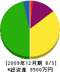 富岡内装 貸借対照表 2009年12月期