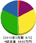 森田商会 貸借対照表 2013年3月期