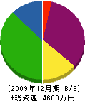 日本サンアンドグリーン 貸借対照表 2009年12月期