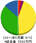 佐藤商会 貸借対照表 2011年6月期