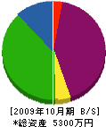 京都美山建設 貸借対照表 2009年10月期