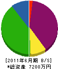 長嶋組 貸借対照表 2011年6月期