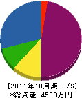 春日井 貸借対照表 2011年10月期