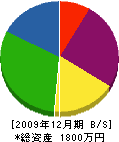 竹澤電機商会 貸借対照表 2009年12月期