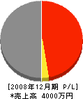 田中工業 損益計算書 2008年12月期